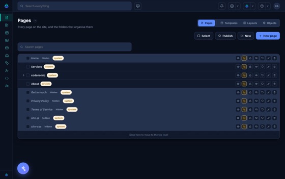 A page open in the editor, with its slots and settings